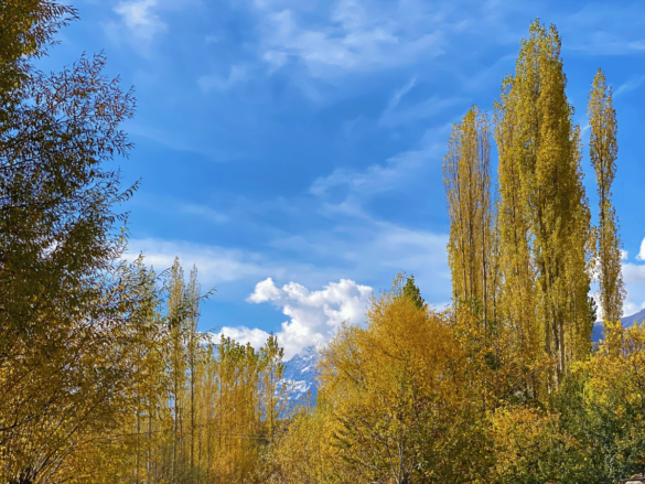 blue-sky-and greenry-cluds-gilgit baltistan-north-times